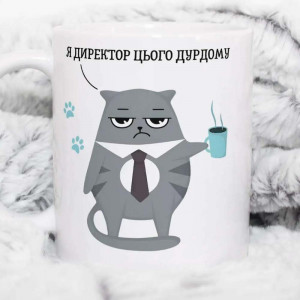 Кружка (чашка) Я директор цього дурдому 330 мл