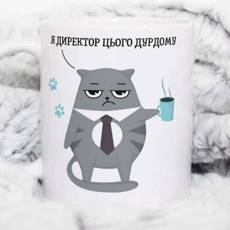Кружка (чашка) Я директор цього дурдому 330 мл
