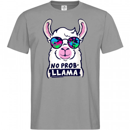 Футболка NOPROBLLAMA