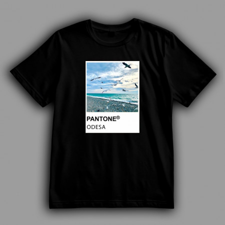 Футболка цвет понтона Одесса