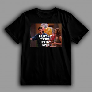 Футболка FRIENDS Чендлер Бінг: "Ні, це не так..."