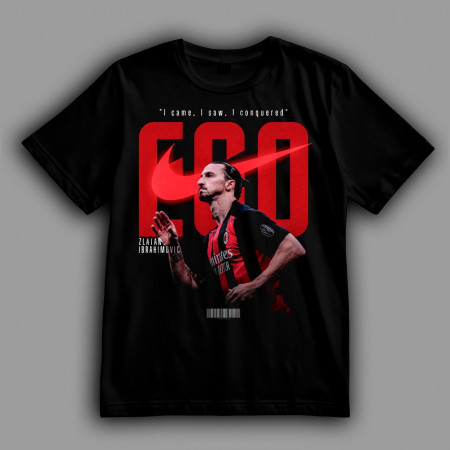 Футболка Златан Ибрагимович. Пришел, увидел, победил