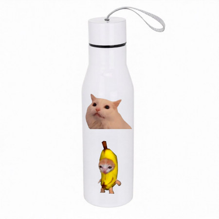 Термопляшка зі шнурком: "Мемні котики"