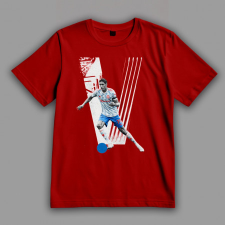 Футболка V – значит Варан Рафаэль