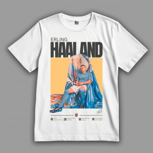 Футболка Эрлинг Холанн. Копия Деймона Таргариена