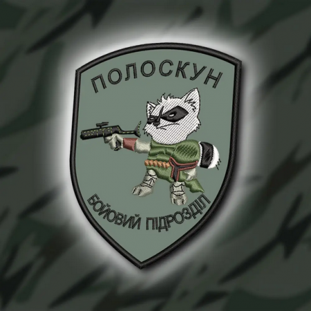 Шеврон 397 ПОЛОСКУН, БОЙОВИЙ ПІДРОЗДІЛ