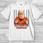 Футболка All I want for Christmas Donald John Trump